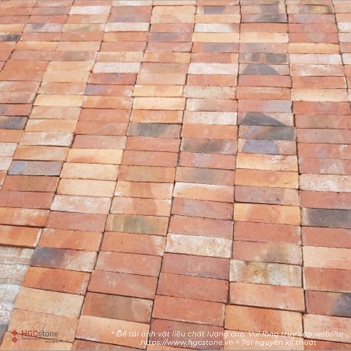 [HGC-905] Gạch gốm cổ CT12