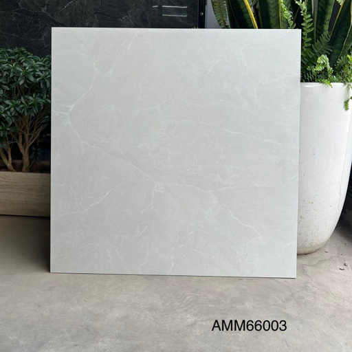 [ML6202] Gạch lát sàn KT 600x600mm AMM66003
