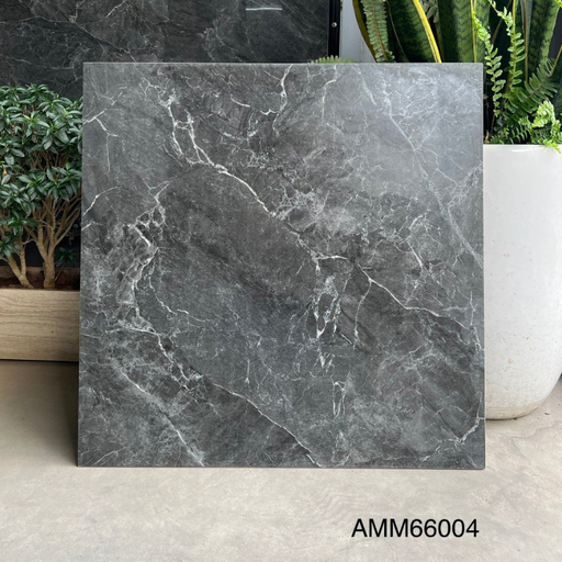 [GLM4040] Gạch lát sàn KT 600x600mm AMM66004