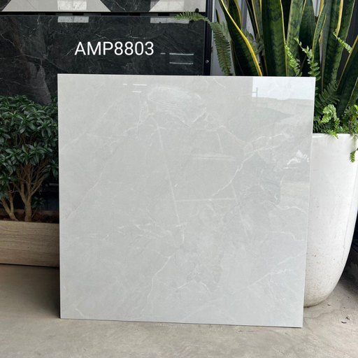 [4206G] Gạch lát sàn KT 800x800mm AMP88003