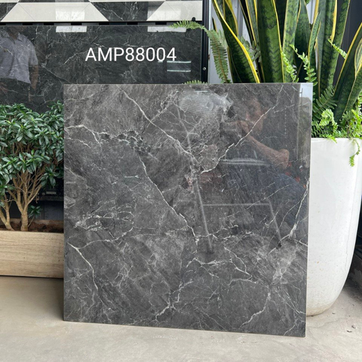 [CTR 4801] Gạch lát sàn KT 800x800mm AMP88004