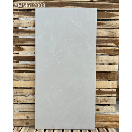 [VH 3310] Gạch lát sàn ốp tường KT 600x1200mm AMM612003