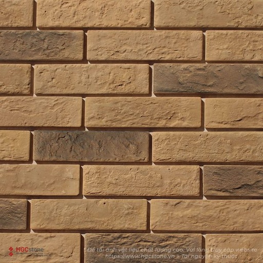 [VNA2 - M88004] Gạch trang trí vàng đất