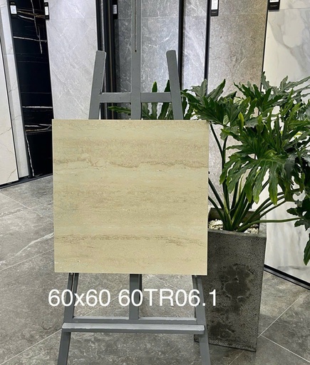 [GCCKH-TQ-613054] Gạch ốp lát 600x600 mã 60TR06