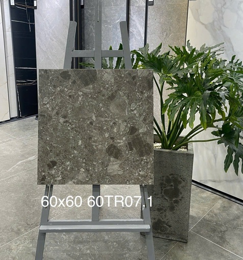 [GCCKH-TQ-613058] Gạch ốp lát 600x600 mã 60TR07