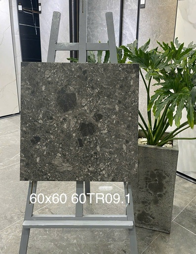 [GCCKH-TQ-613062] Gạch ốp lát 600x600 mã 60TR09