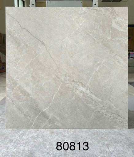 [GCCKH-TQ-613064] Gạch ốp lát 600x600 mã 80813