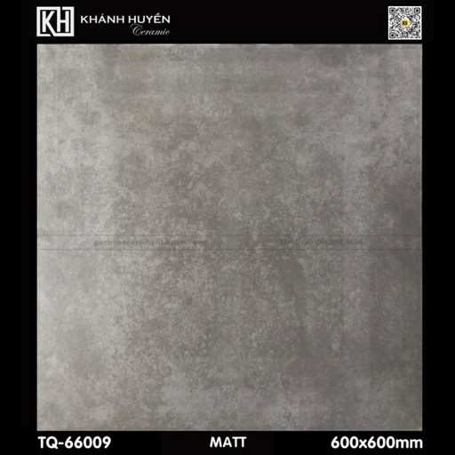 [DAISANB2B_G_17825694] Gạch ốp lát 600×600 TQ-66009