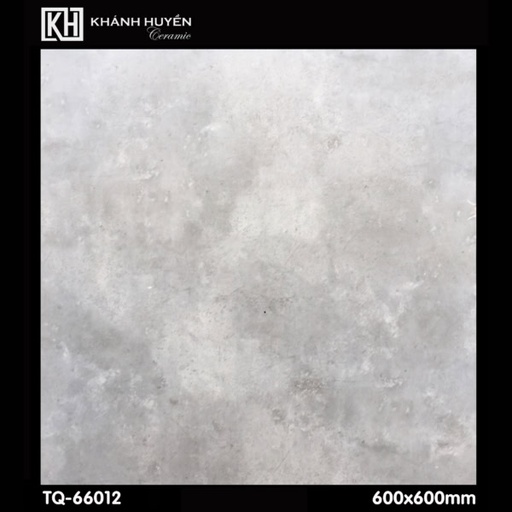 [AP3674M-N] Gạch ốp lát 600×600 TQ-66012