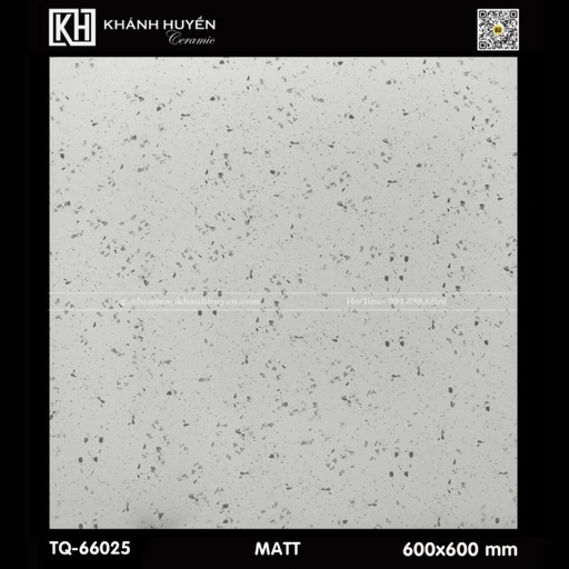 [AMM48003] Gạch ốp lát 600×600 TQ-66025