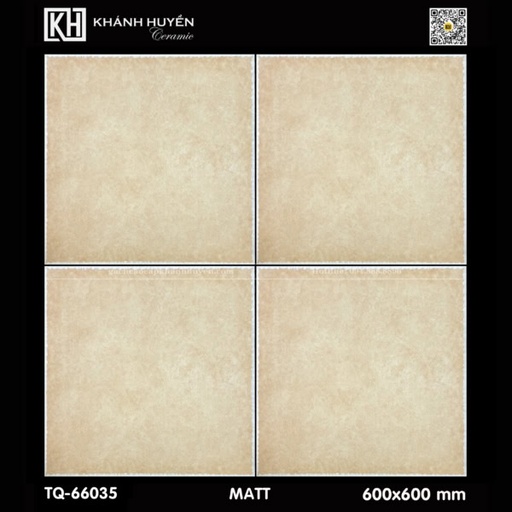 [DSH-ASM48005] Gạch ốp lát 600×600 TQ-66035