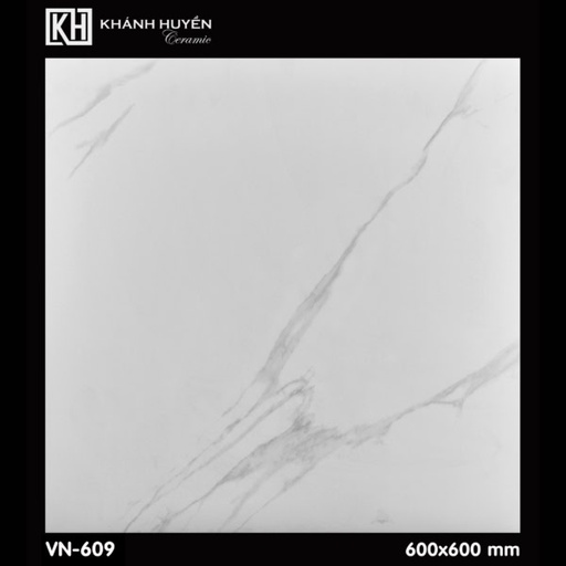 [TASA 4905] Gạch ốp lát 600×600 VN-609